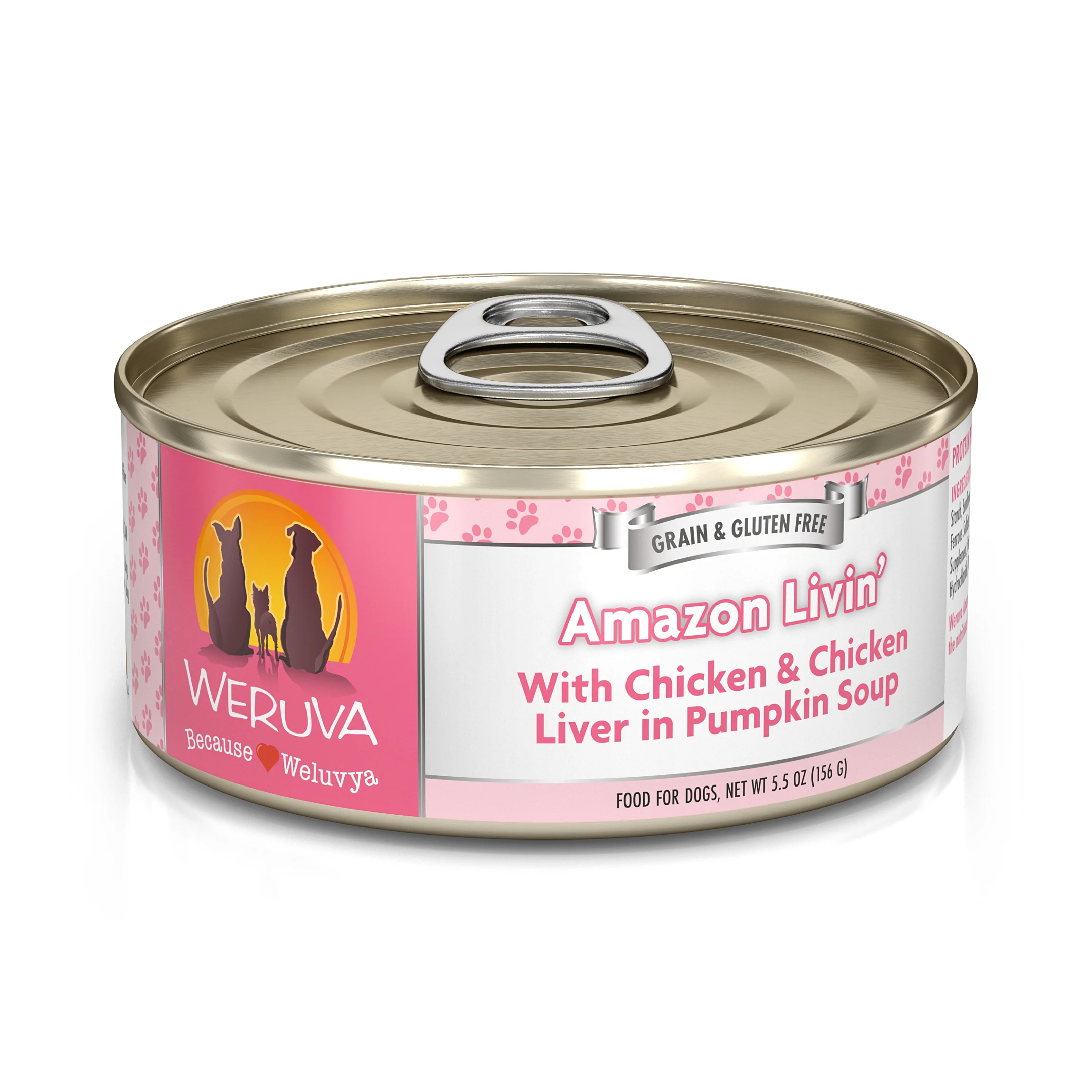 Amazon Livin' - Image 8