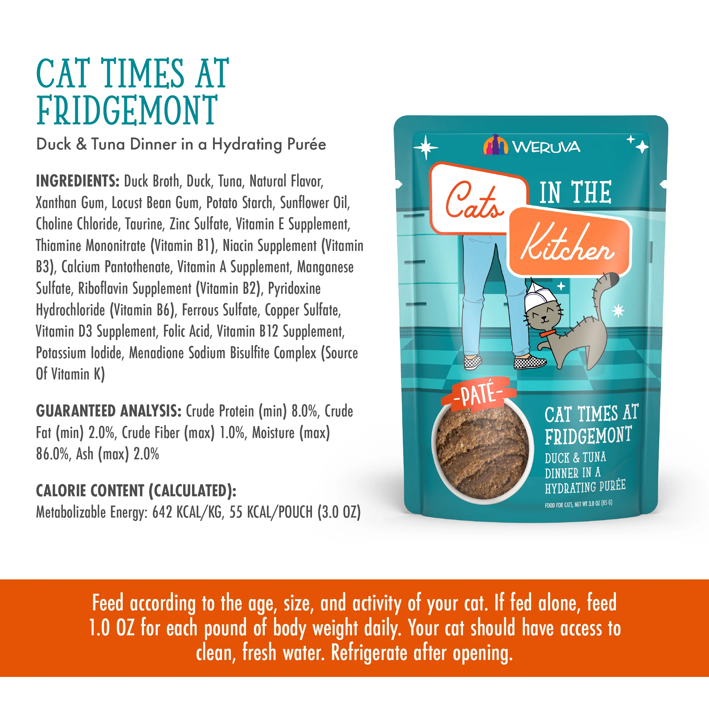 Cat Times at Fridgemont - Image 5