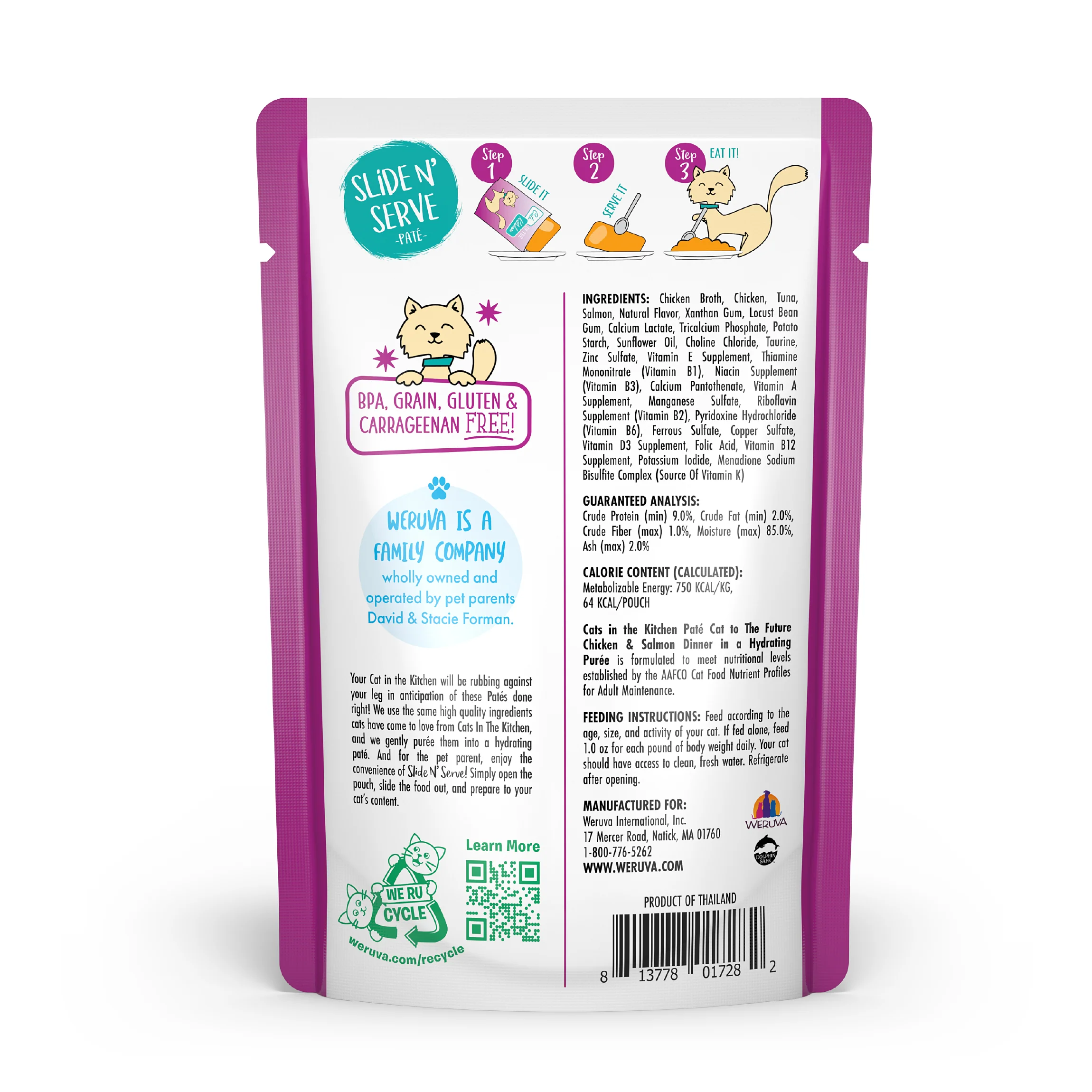 Cat to The Future - Image 3