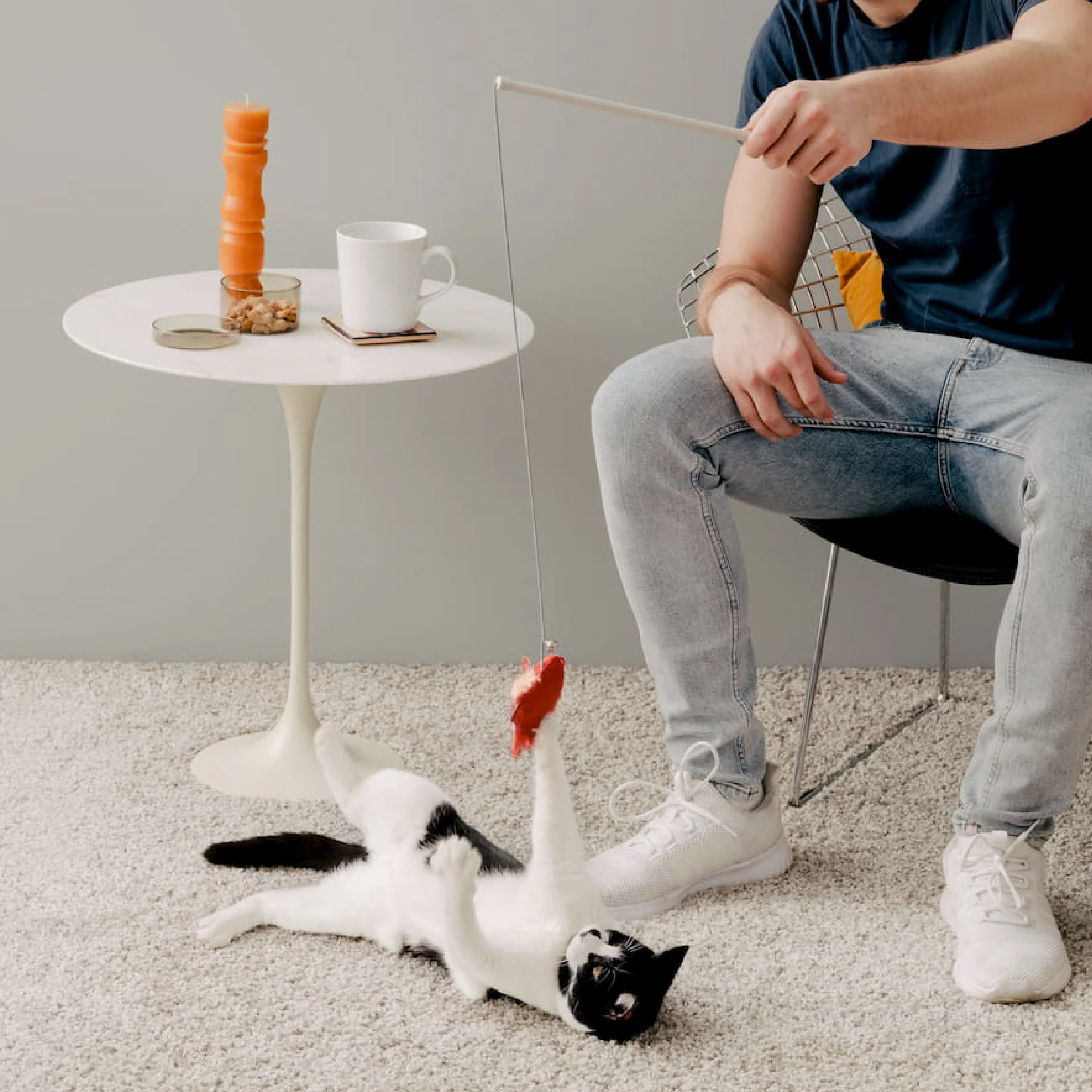 Catnip Wand Toy - Image 12