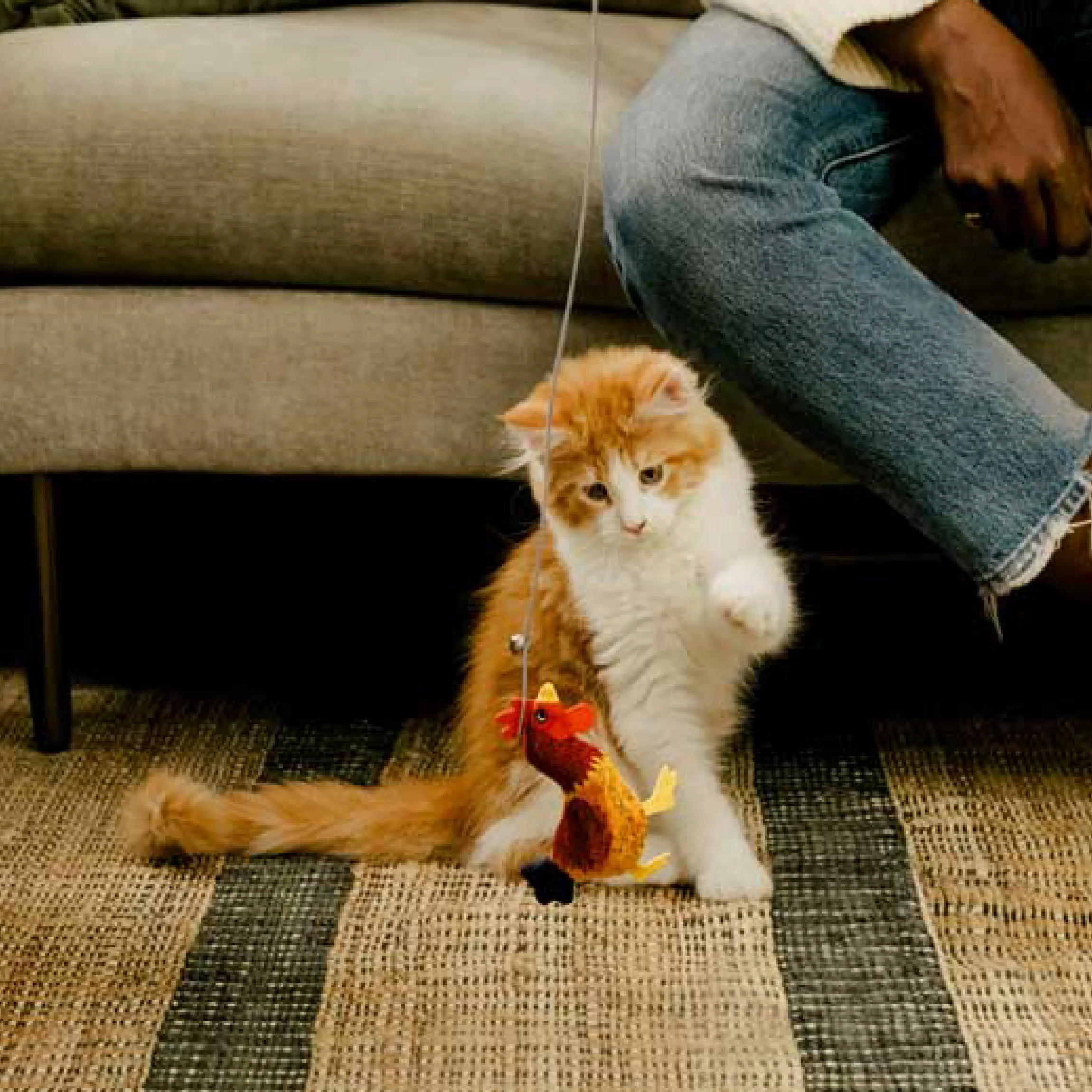 Catnip Wand Toy - Image 7