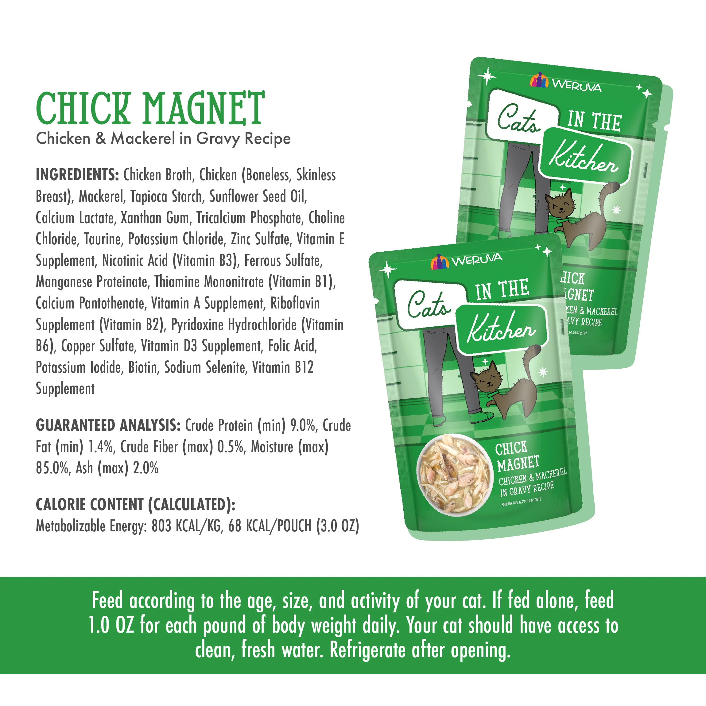 Chick Magnet - Image 5