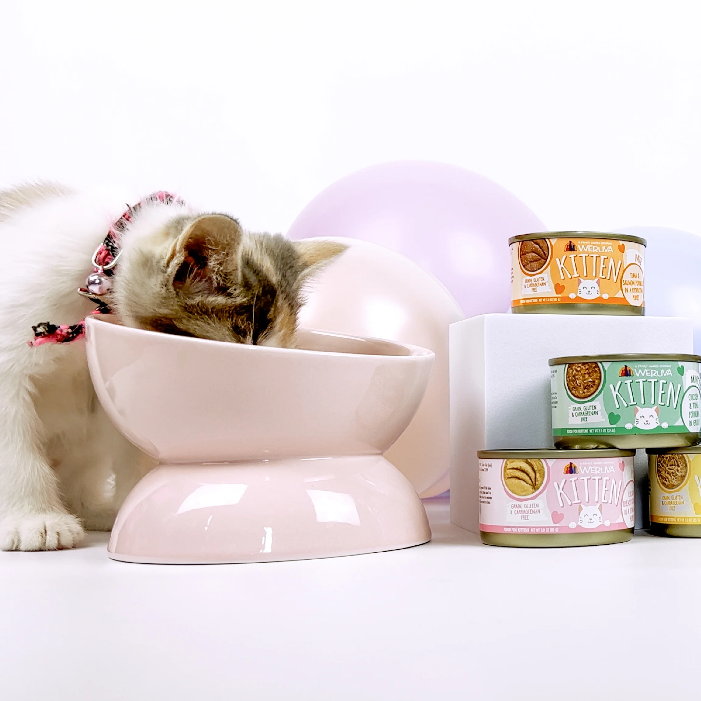 Chicken Formula Au Jus - Image 14