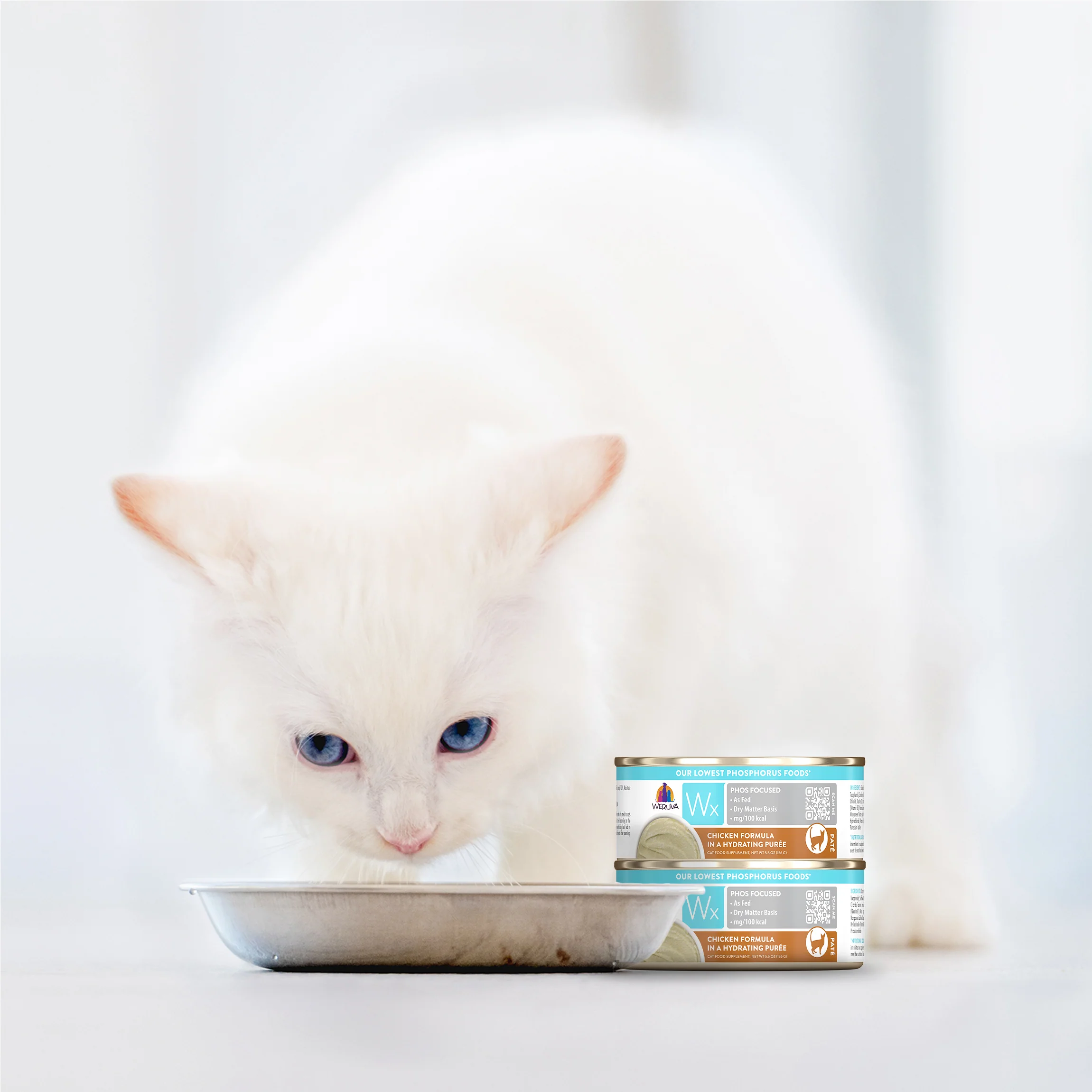 Chicken Formula in a Hydrating Purée - Image 18