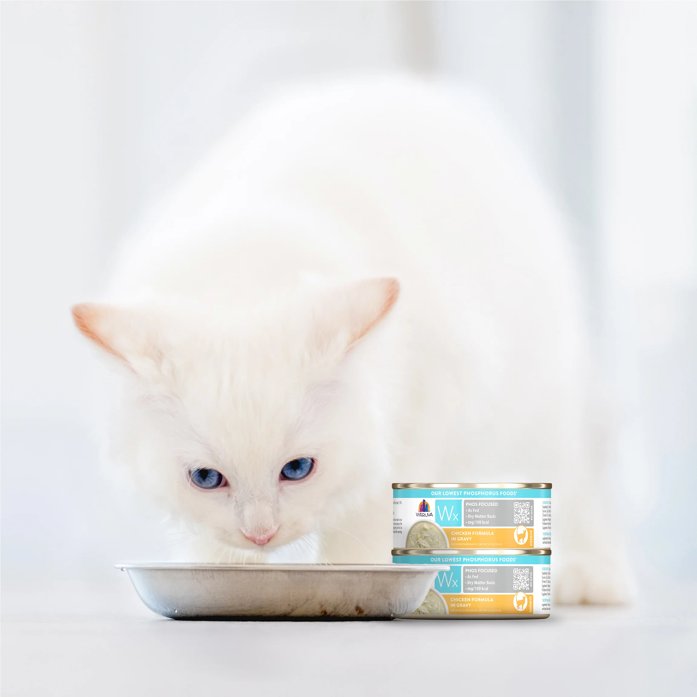 Chicken Formula in Gravy - Image 18