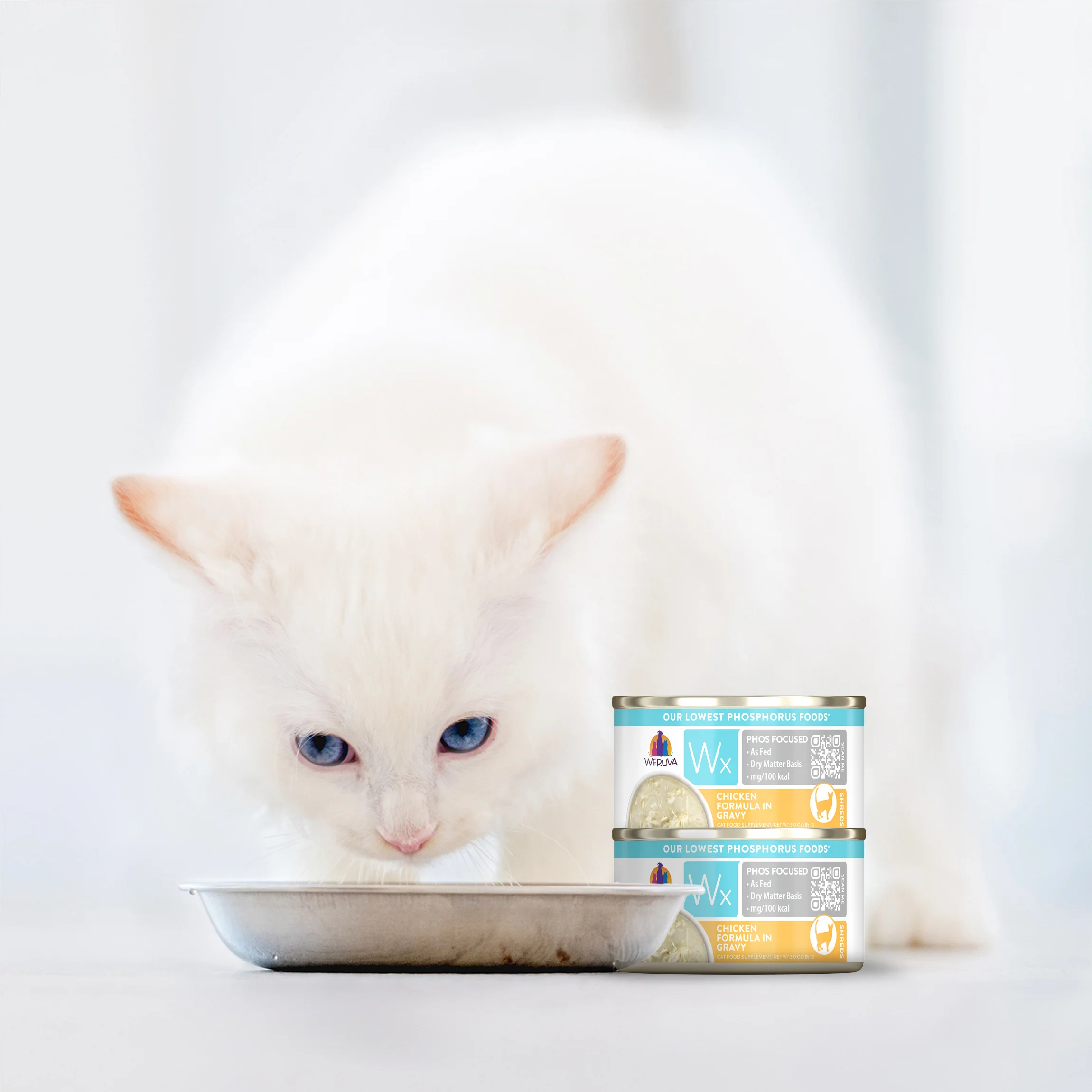 Chicken Formula in Gravy - Image 9