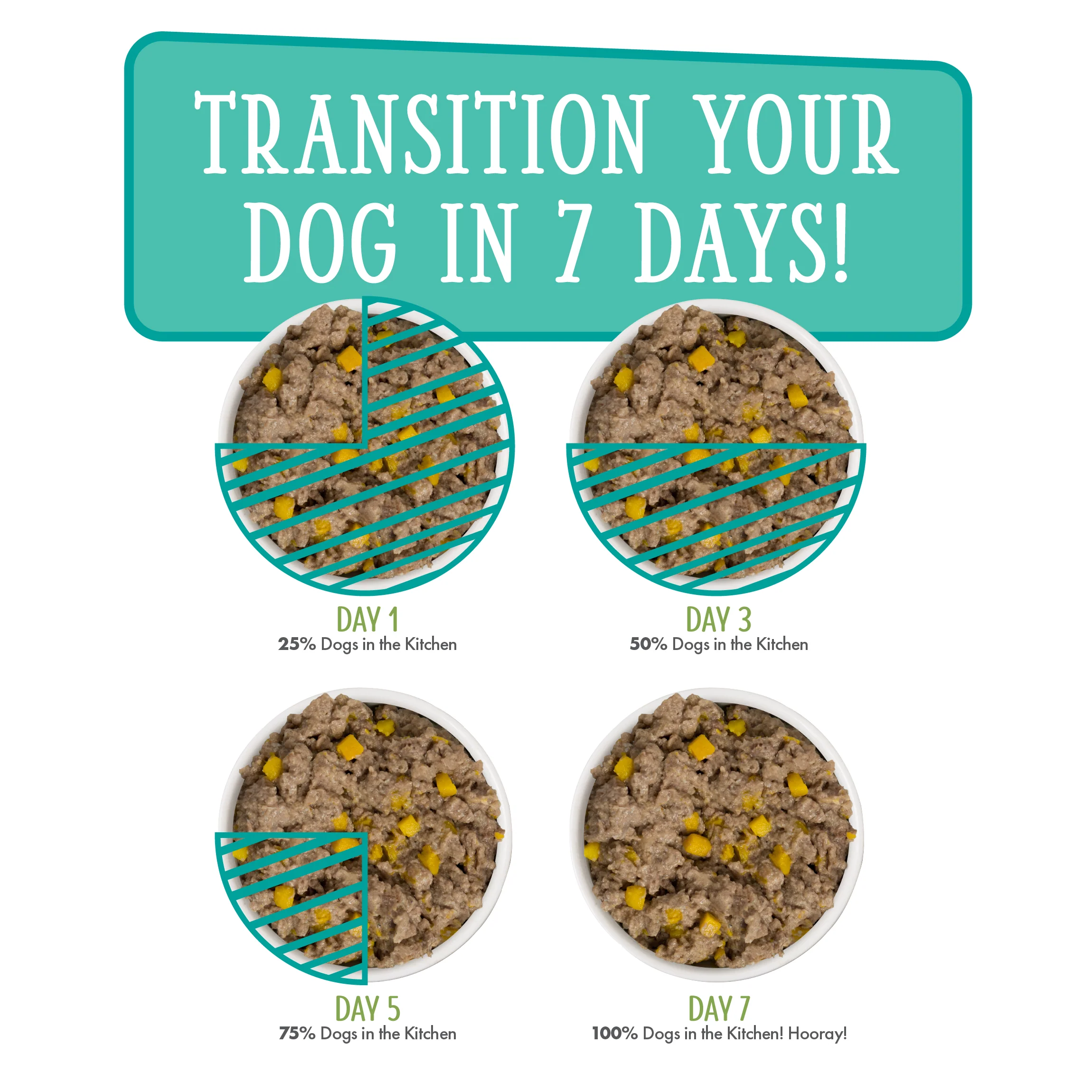 Doggie Dinner Dance! - Image 8