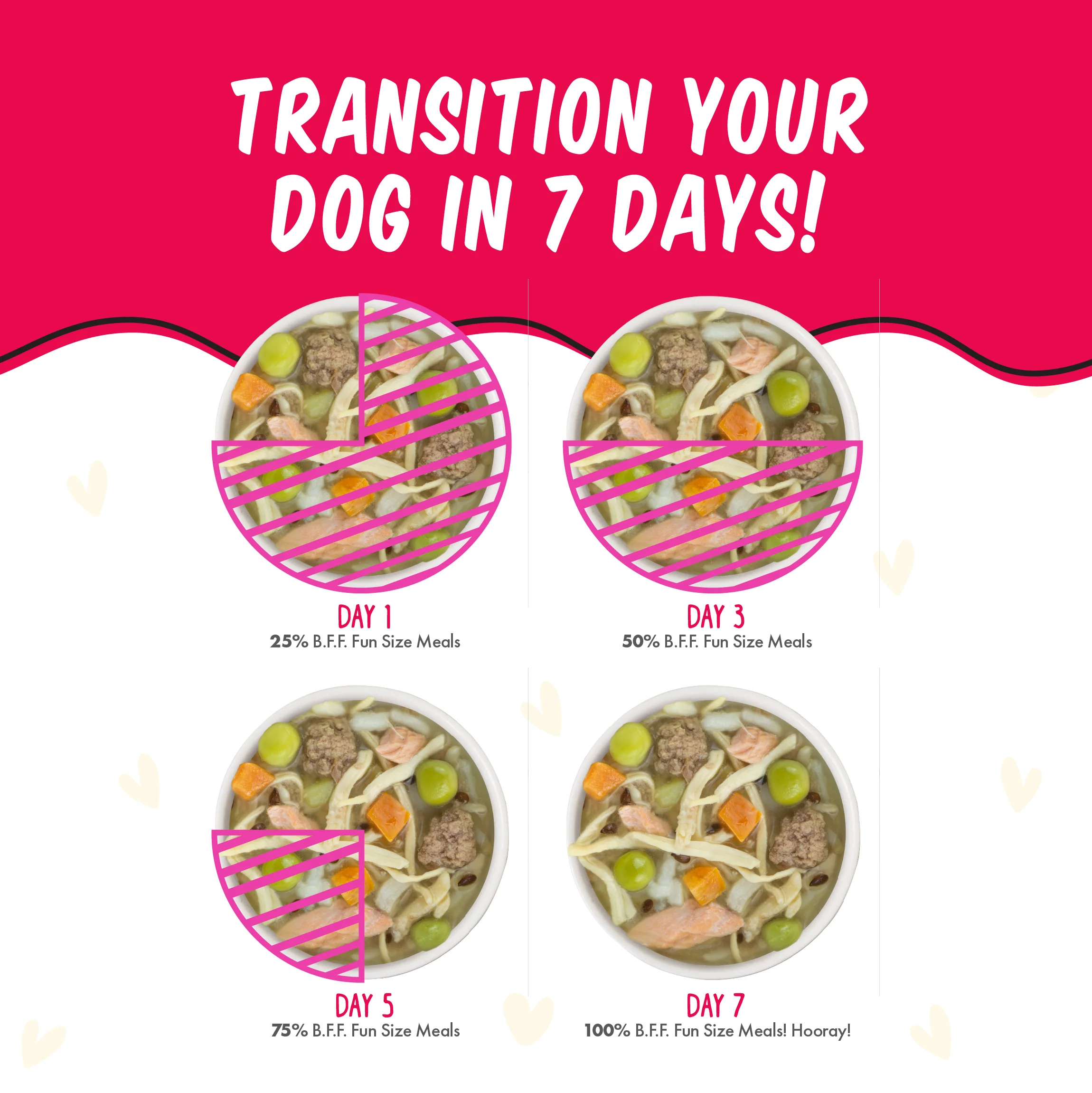 Picky Pooch Picnic! - Image 6