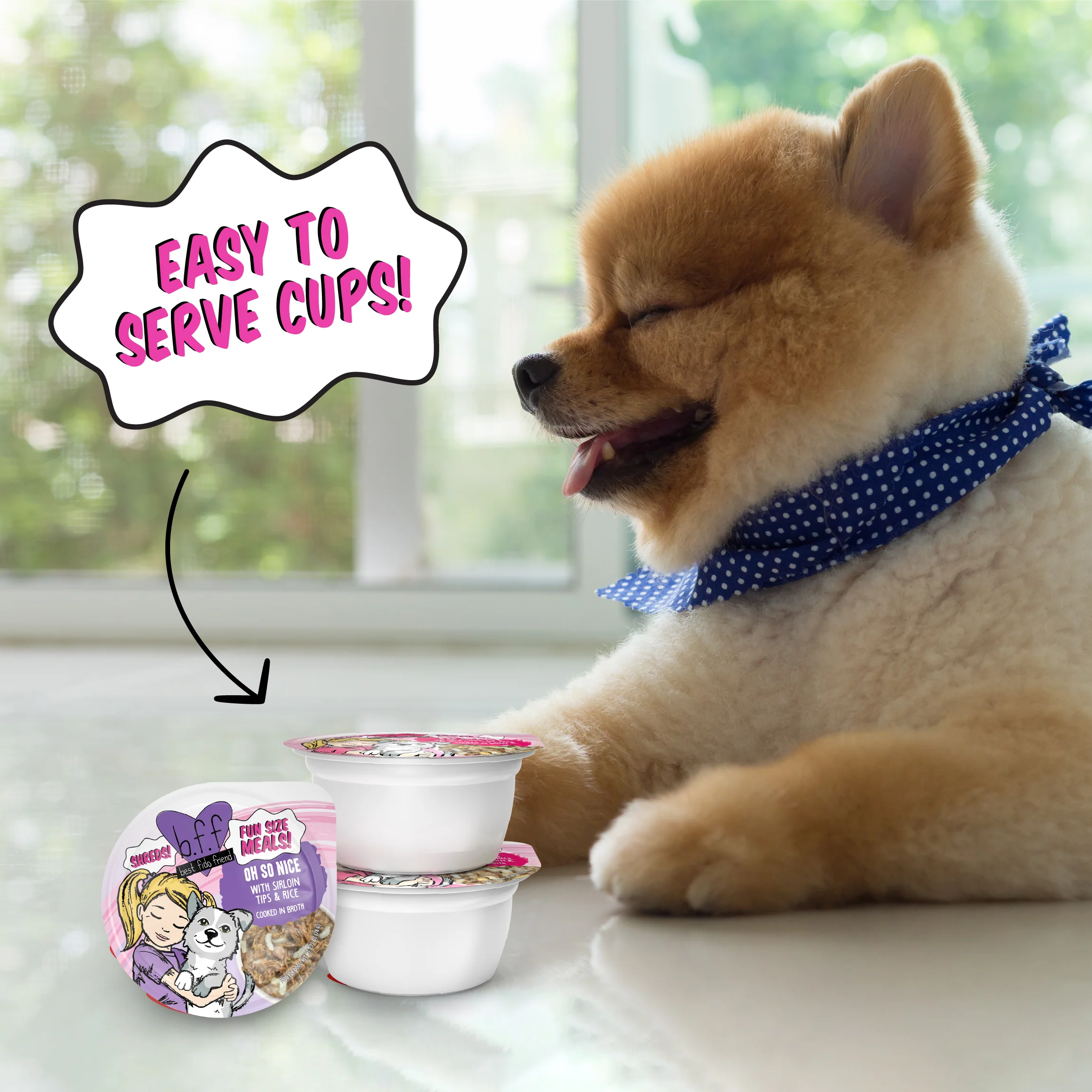 Picky Pooch Picnic! - Image 7